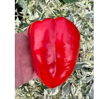 Kromo Red