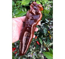 Ramiro Chocolate