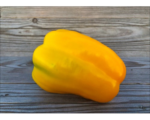 Buffalo Yellow