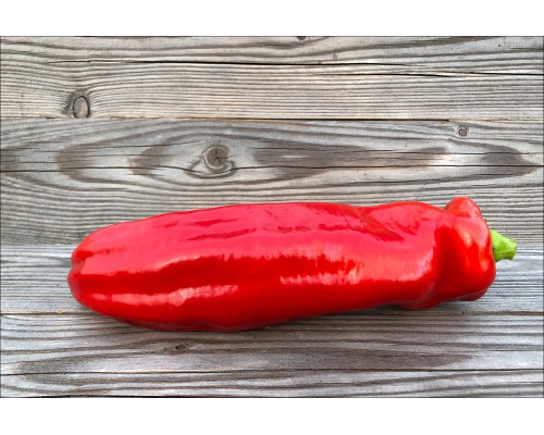 Palermo Red