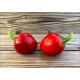 Sweet Cherry