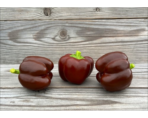 Mini Bell Chocolate