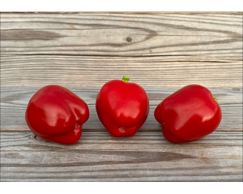 Mini Bell Red