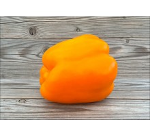 Orange Giant