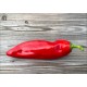 Rosso Duemila