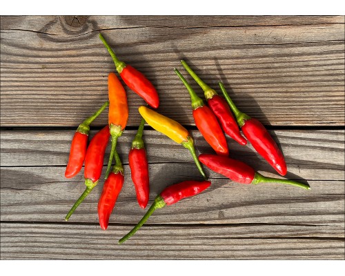 Tabasco