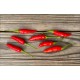 Piri Piri