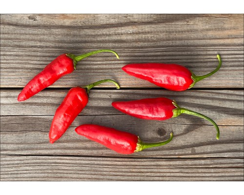 Aji Criollo