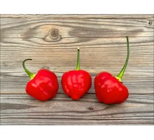 Peppared