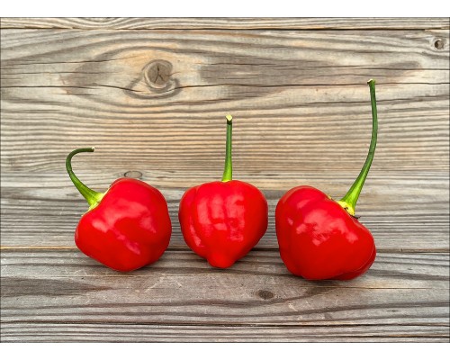 Peppared