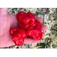 Aji Tangerine Red