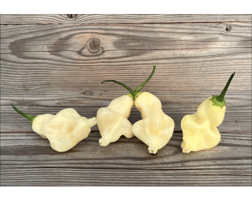 Aji Colombian White