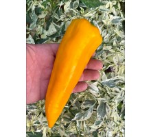 Gatherer's Gold