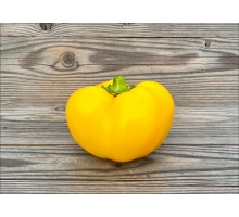 Gogoscharii Yellow (Гогошар)