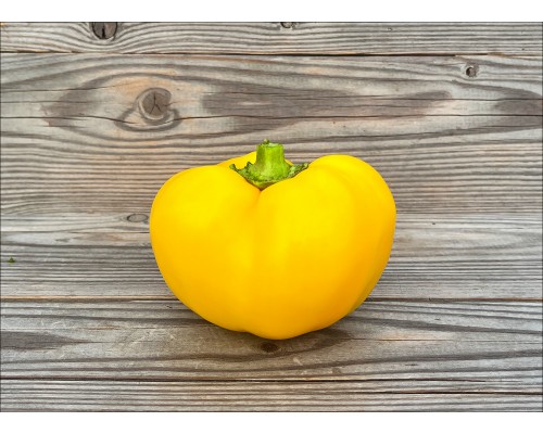Gogoscharii Yellow (Гогошар)