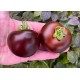 Purple Galaxy