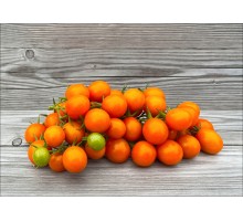 The Beta Tomato