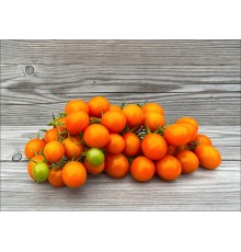 The Beta Tomato