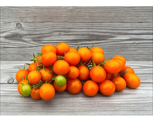 The Beta Tomato
